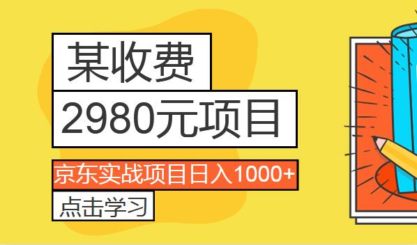 《某收费2980项目：京东实战项目日入1000+》